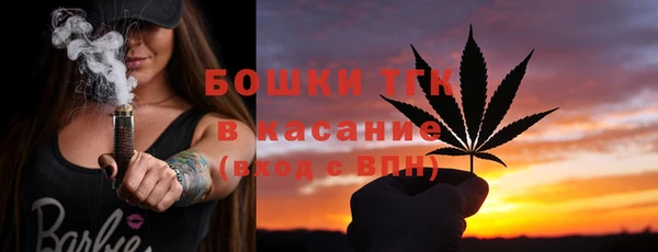 прущие грибы Медвежьегорск