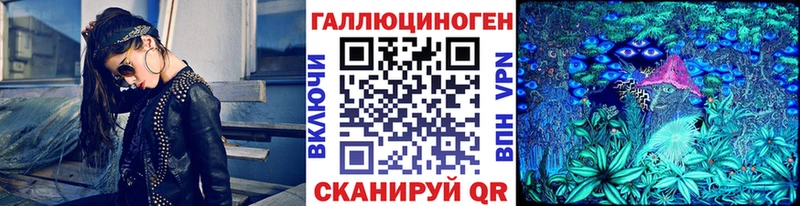 Псилоцибиновые грибы Psilocybe Торопец