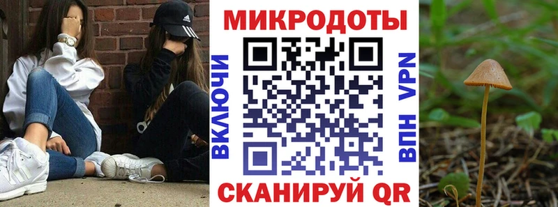 Псилоцибиновые грибы Psilocybine cubensis  Торопец 